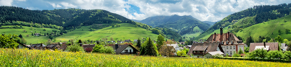 Ferienhaus Bergblick Münstertal